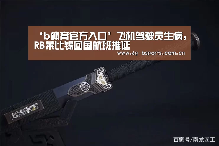 ‘b体育官方入口’飞机驾驶员生病，RB莱