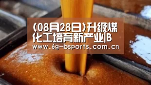 b体育网页版
